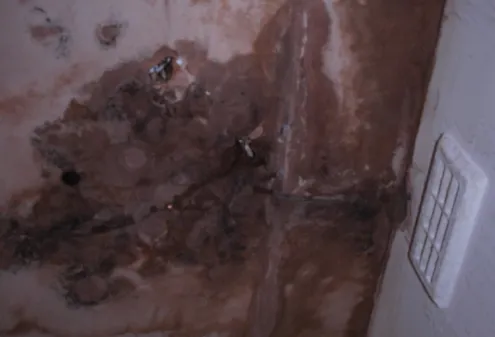 Mould and damp staining around a light switch