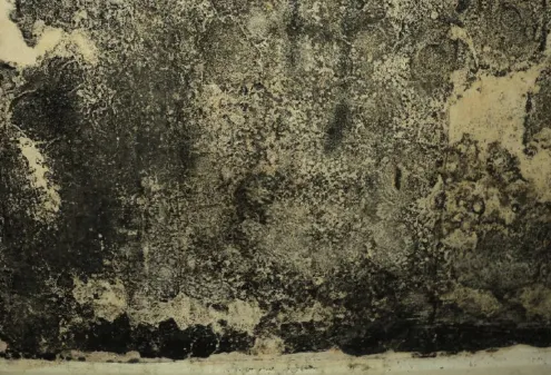 Close-up of heavy mould growth on a wall