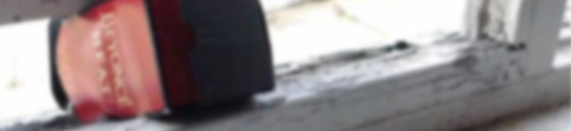 Amanda Remy - Housing Disrepair