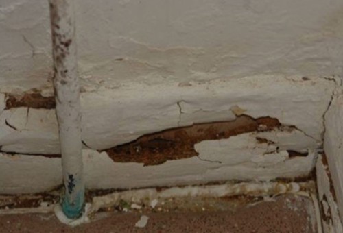 Structural Defects | Arkas Law